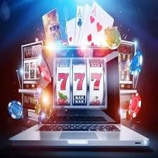 55qq